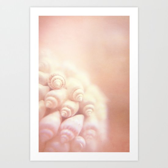 MINI SEASHELLS Art Print