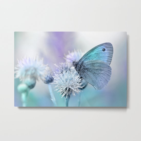 Butterfly blue 71 Metal Print
