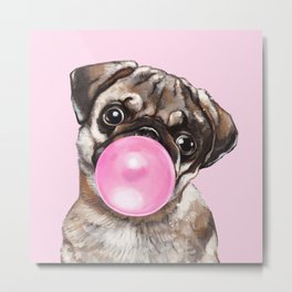 Pug with Pink Bubble Gum Metal Print