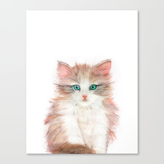 Little Kitten Canvas Print