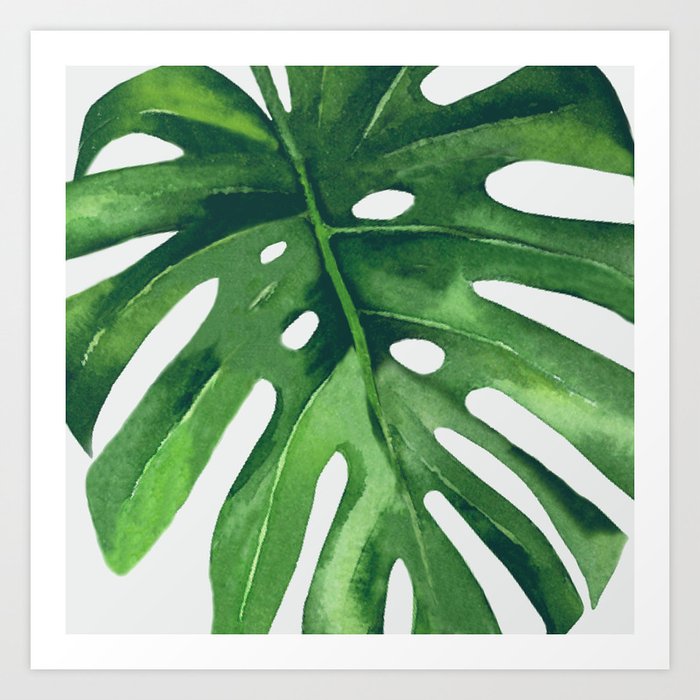 Monstera Leaf Art Print by Nadja