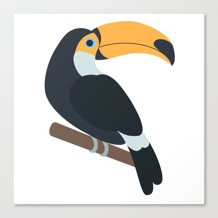Toucan Bird Canvas Print