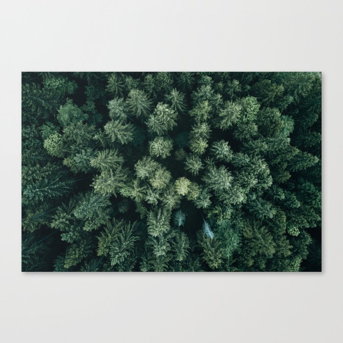 Forest from above - Landscape Photography Canvas Print