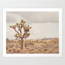 Dreamcatcher. Joshua Tree Desert Art Print
