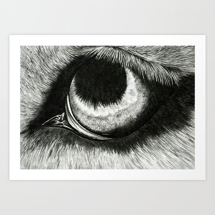 wolf eye drawings in pencil