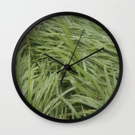 California Grass & Dew Wall Clock
