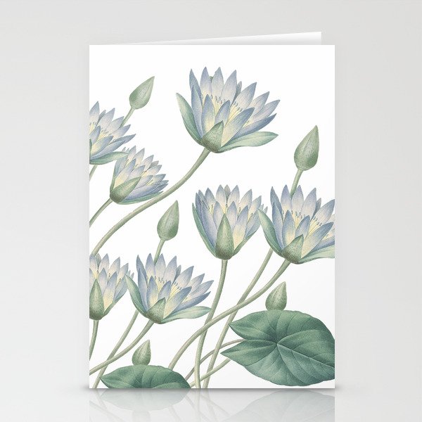 Water Lily Stationery Cards