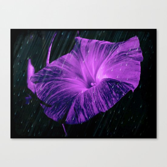 Purple Striped Glory Canvas Print