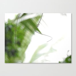 Peaceful green shades of graceful nature Canvas Print