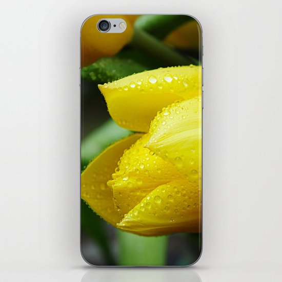 Yellow Tulip iPhone & iPod Skin