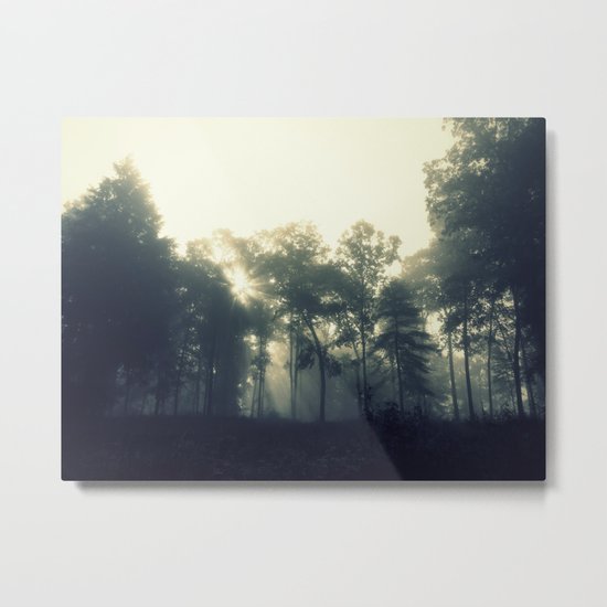 Where Sunbeams Touch the Ground Fairies Dwell Metal Print