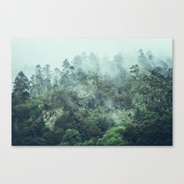 Treeline Canvas Print