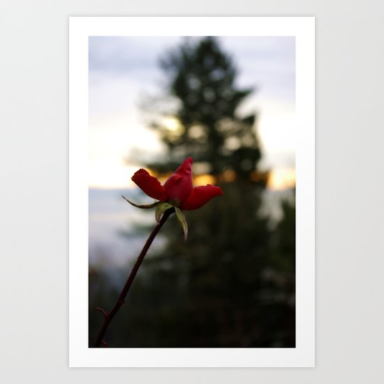 Rose City Art Print