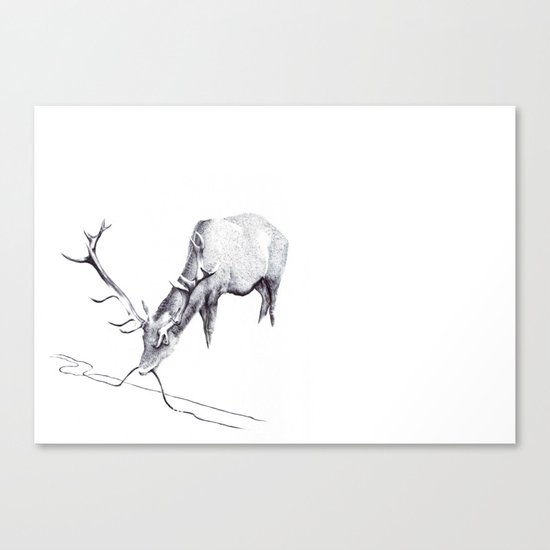 Paths Canvas Print