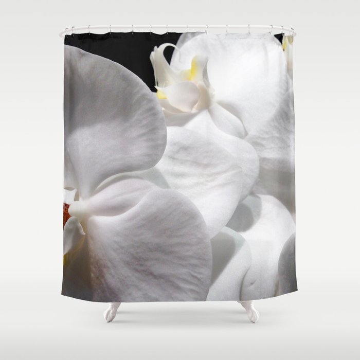 white orchid Shower Curtain