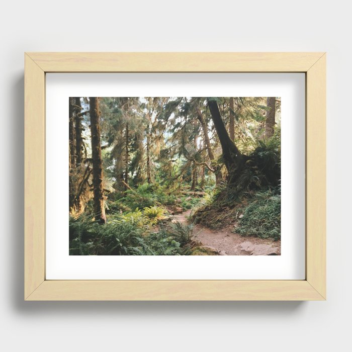 Hoh Rainforest Trail Recessed Framed Print