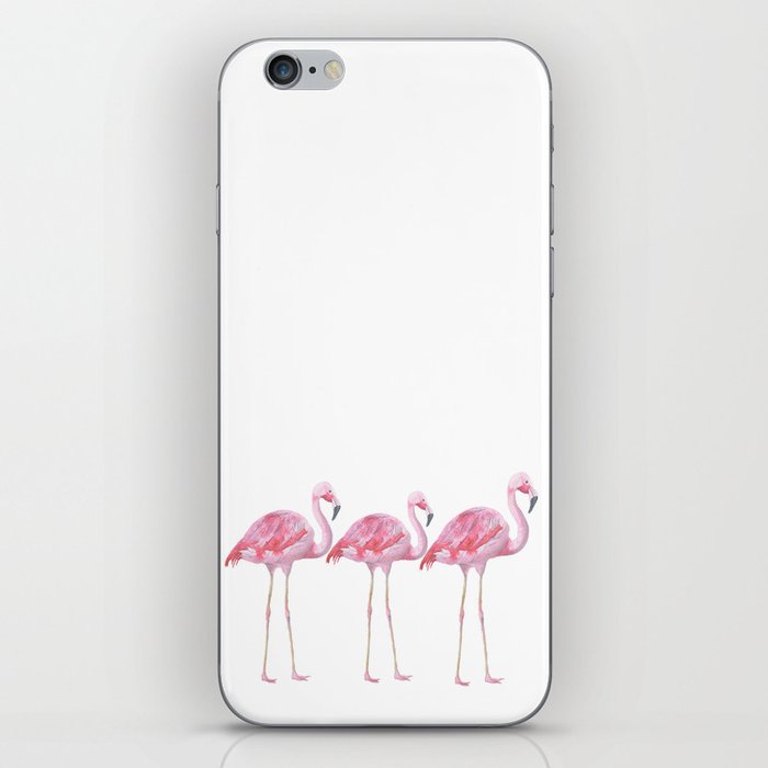 Flamingo - Pink Bird - Animal On White Background iPhone Skin