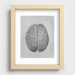 Anatomical Brain Recessed Framed Print