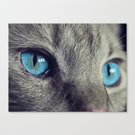 Cat Eye Canvas Print