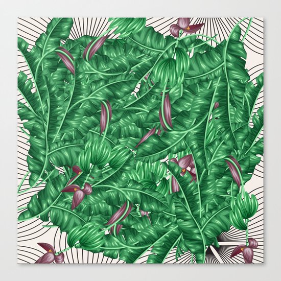 tropical nature Canvas Print