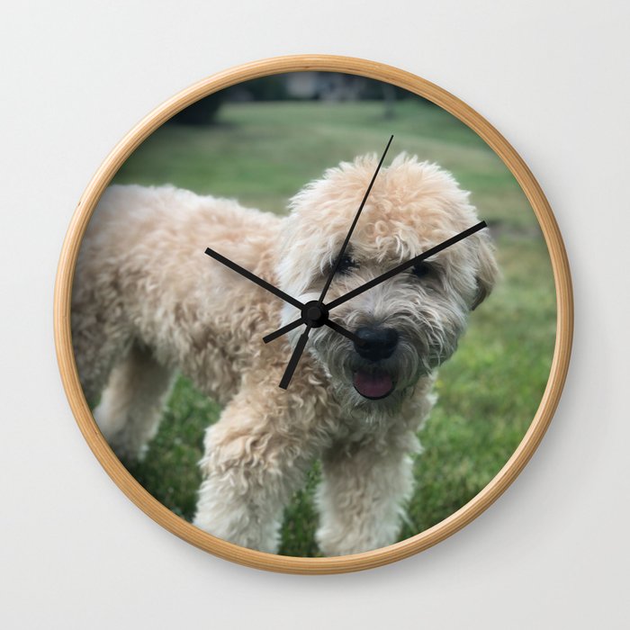 Smiling Soft Coated Wheaten Terrier Wall Clock