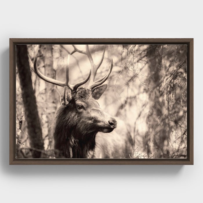 Deer Framed Canvas