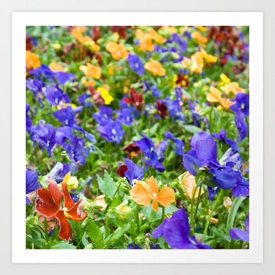 Flower Palette Art Print