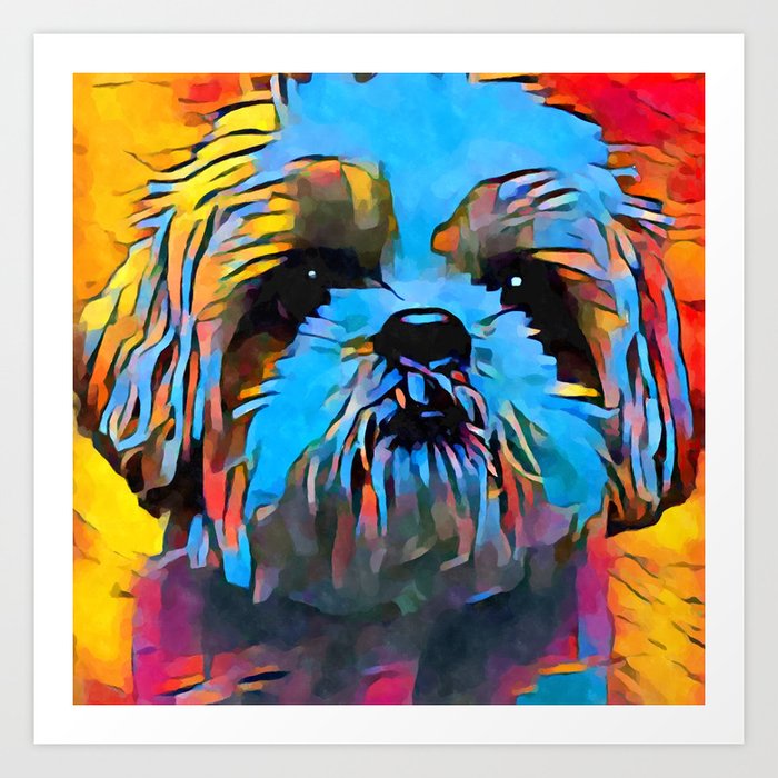 Shih Tzu Art Print