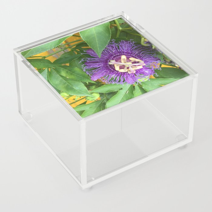 Alley Flower 2 Acrylic Box