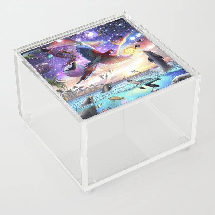Dolphin And Parrot Ocean Animal Space Scene Acrylic Box
