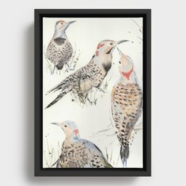 Flickers by Lenny's Creek Framed Canvas