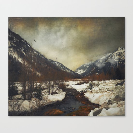 Wild Winter Valley Canvas Print
