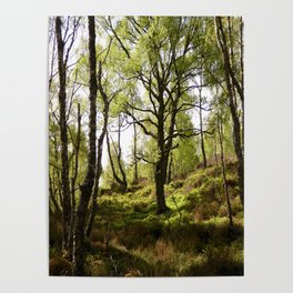 Scottish Highlands Light and Shadow in the Spring. Poster
