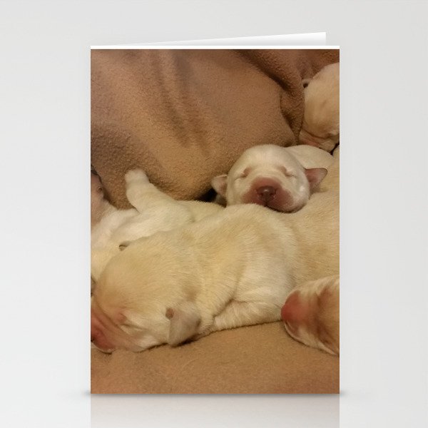 The Huddle with yellow lab puppies Stationery Cards