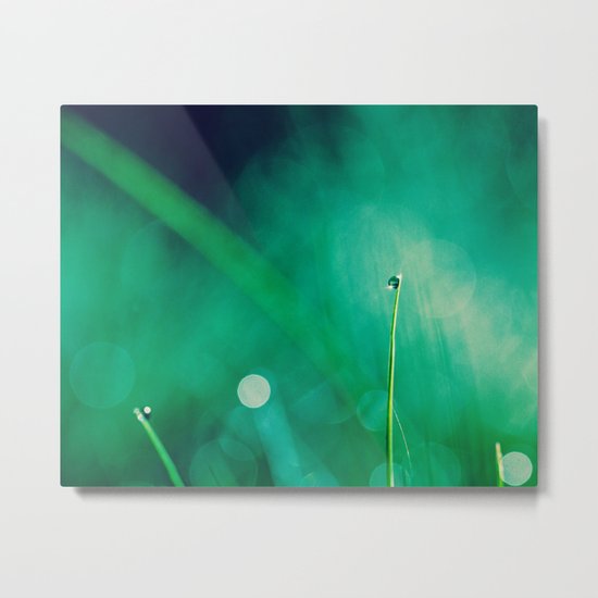 morning Metal Print