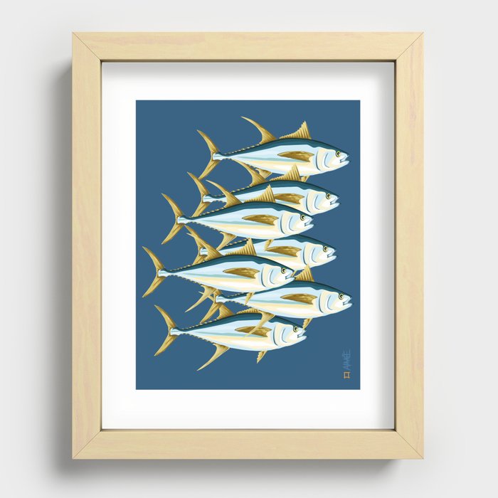 School of Tuna, fish Recessed Framed Print