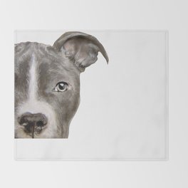 society6