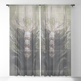 Cabbagemorphe Sheer Curtain