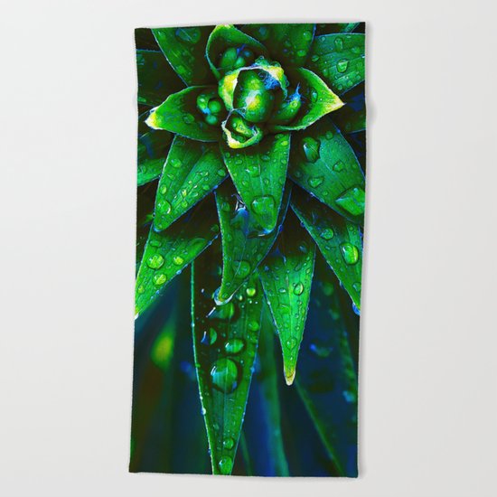 Morning Dew On Plant Beach Towel