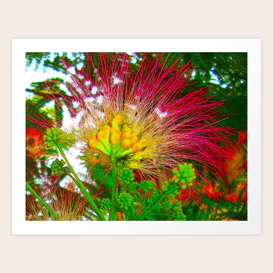 EXOTIC FLOWER Art Print