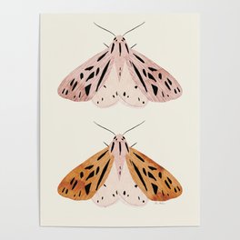 Butterflies Poster