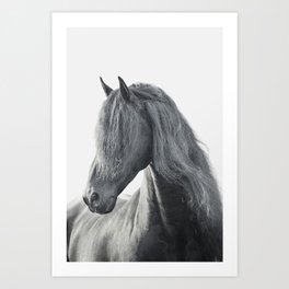 Friesian Horse Art Prints For Any Decor Style Society6