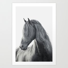 Wild Stallion - Black and White Photography, Friesian Horse Art Print