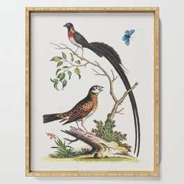 Vintage bird illustration Serving Tray