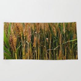 Summer wheat field in the countryside Beach Towel