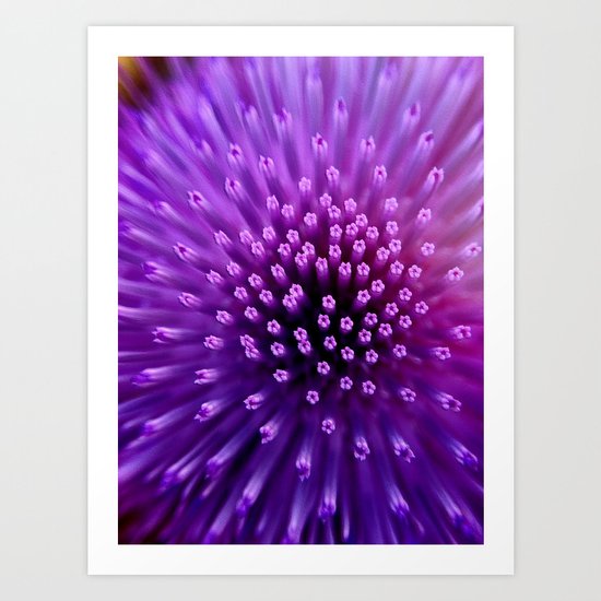 Audible Swirl Art Print