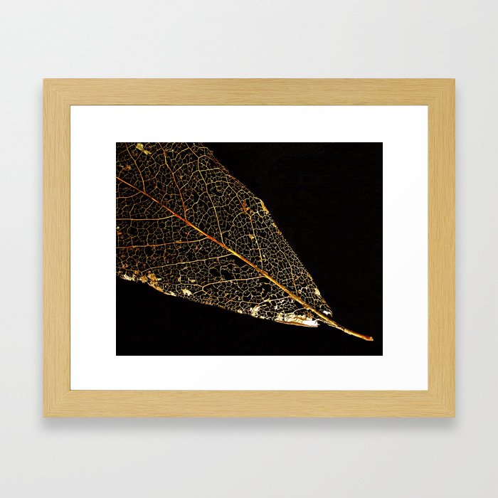 Gold Leaf Framed Art Print