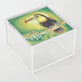 Toucan Bird Exotic Tropical Green Jungle Watercolor  Acrylic Box