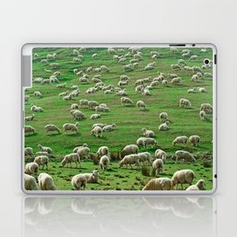 Flock Sheep New Zealand Laptop Skin
