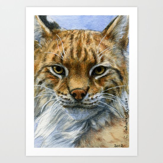 Lynx 809 Art Print